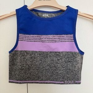 SOUL by SoulCycle Colorblock Crop Top Bra – Blue/Lavender/Grey – Size Small